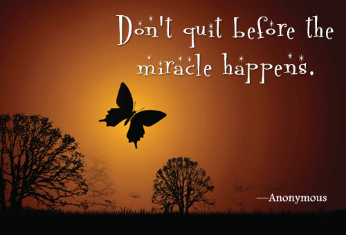 miracle-butterflies-quote